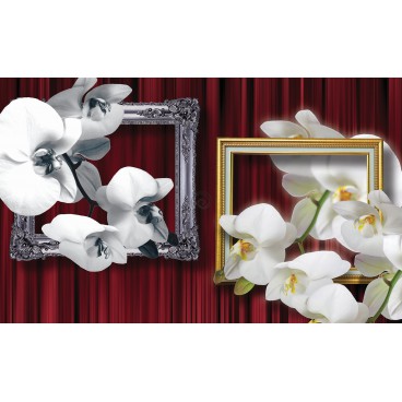 Fototapeta na zeď - FT2986 - Bílé květy v rámech