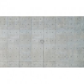 Fototapeta na zeď - FT3573 - Stěna - šedá