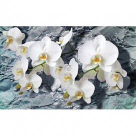 Fototapeta na stenu - FT2994 - Biele kvety na kamennom pozadí