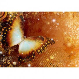 Fototapeta na stenu - FT0182 - Oranžový motýľ