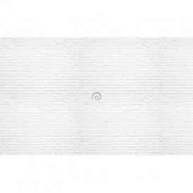 Fototapeta na stenu - FT4566 - Tehlová stena - biela