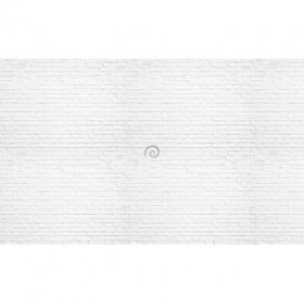 Fototapeta na zeď - FT4566 - Cihelná stěna - bílá