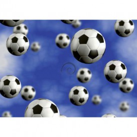 Fototapeta na zeď - FT0498 - Fotbalové míče