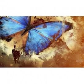 Fototapeta na stenu - FT0181 - Motýľ