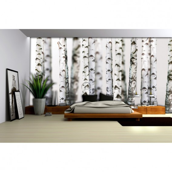 Fototapeta na stenu - FT3019 - Brezy