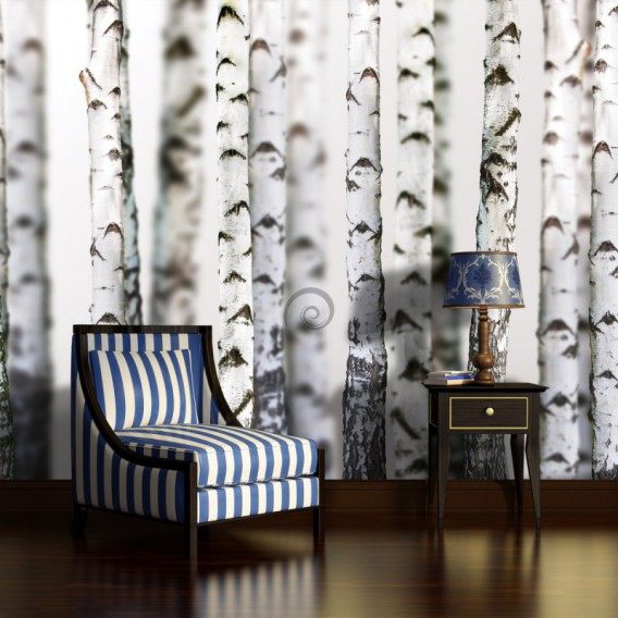 Fototapeta na stenu - FT3019 - Brezy