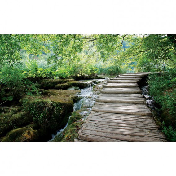Fototapeta na stenu - FT4603 - Lesný chodník