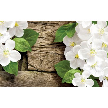 Fototapeta na stenu - FT3665 - Biele kvety