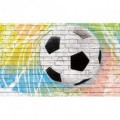 Fototapeta na zeď - FT3681 - Fotbalový míč