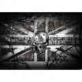 Fototapeta na stenu - FT3810 - Lebka – anglická vlajka sivá