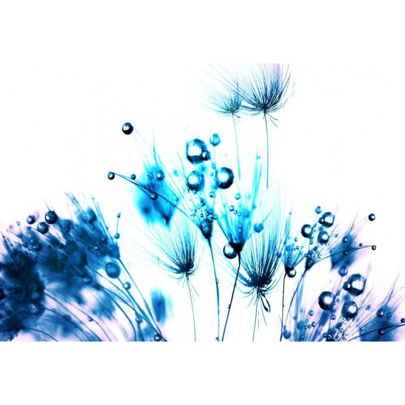 Fototapeta na stenu - FT0100 - Modré kvety