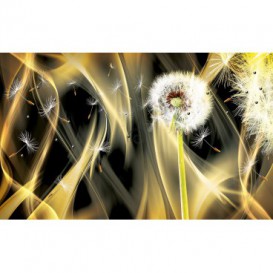 Fototapeta na stenu - FT2822 - Púpava