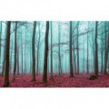 Fototapeta na stenu - FT4037 - Zahmlený les