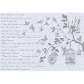 Fototapeta na stenu - FT3495 - Vintage vtáky