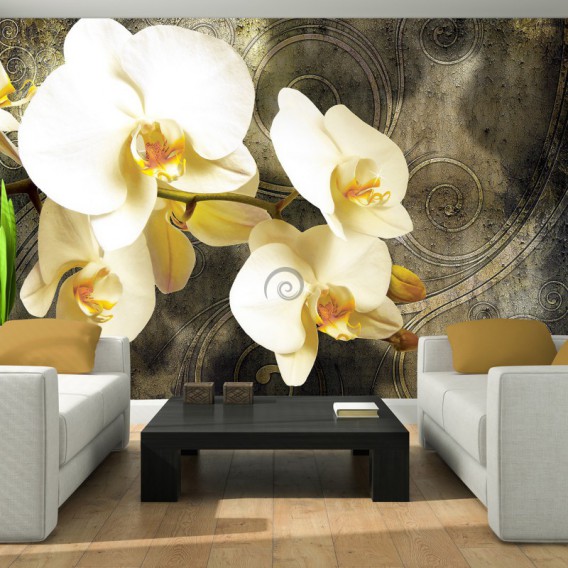Fototapeta na stenu - FT3227 - Orchidea