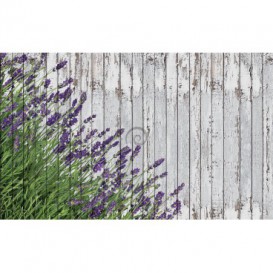 Fototapeta na stenu - FT4098 - Levanduľa