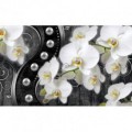 Fototapeta na stenu - FT4786 - Strieborná orchidea