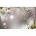 Fototapeta na stenu - FT4858 - Kvety na striebornom pozadí
