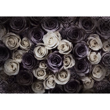 Fototapeta na stenu - FT4895 - Ruže
