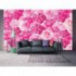 Fototapeta na stenu - FT4950 - Ružové kvety