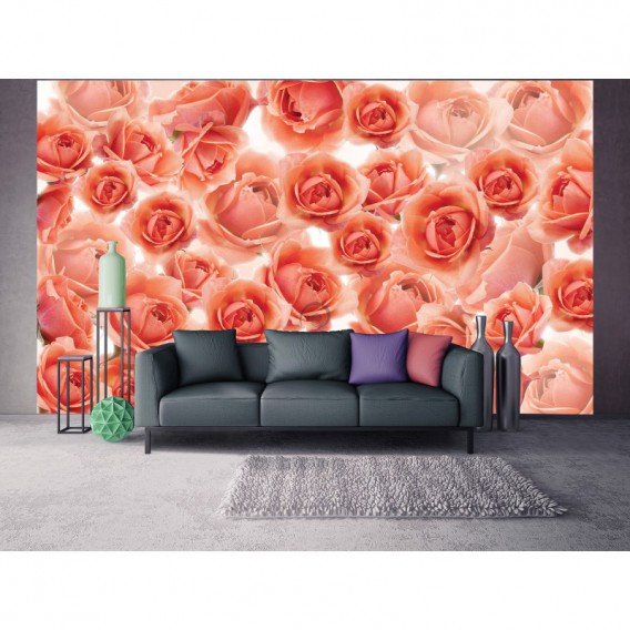 Fototapeta na stenu - FT5049 - Ruže