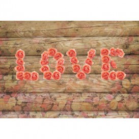 Fototapeta na stenu - FT5052 - Vintage nápis