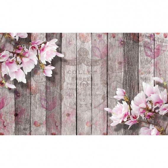 Fototapeta na stenu - FT5080 - Vintage