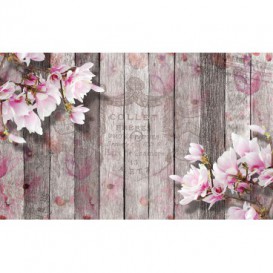 Fototapeta na stenu - FT5080 - Vintage