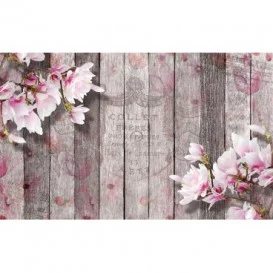 Fototapeta na stenu - FT5080 - Vintage