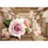 Fototapeta na stenu - FT5085 - 3D kocky s kvetmi