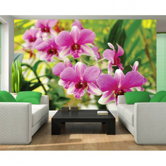 Fototapeta na stenu - FT5124 - Ružová orchidea