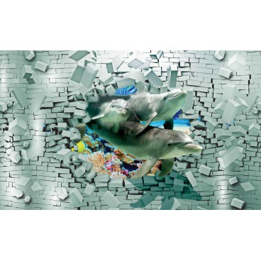 Fototapeta na stenu - FT5142 - 3D delfíny