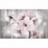 Fototapeta na stenu - FT5170 - Ružový kvet