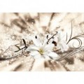 Fototapeta na stenu - FT5179 - Biely kvet