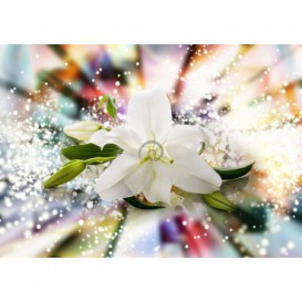 Fototapeta na stenu - FT5180 - Biely kvet