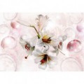 Fototapeta na stenu - FT5222 - Biely kvet