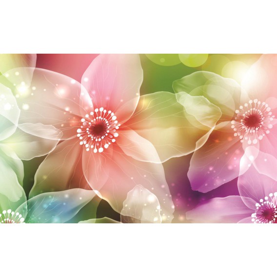 Fototapeta na stenu - FT0190 - Farebné kvety