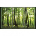 Fototapeta na stenu - FT0039 - Zelený les