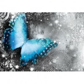 Fototapeta na stenu - FT0184 - Modrý motýľ
