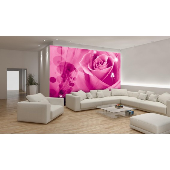 Fototapeta na stenu - FT0117 - Ružová ruža