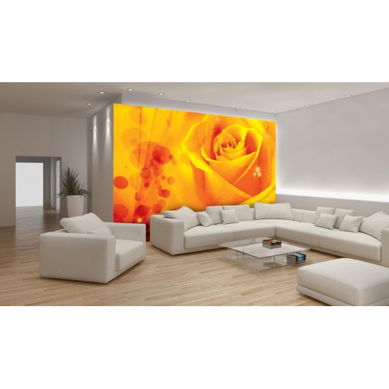 Fototapeta na stenu - FT0122 - Žltá ruža