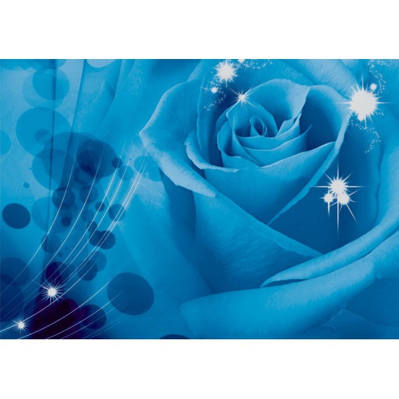 Fototapeta na stenu - FT0123 - Modrá ruža