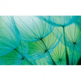 Fototapeta na stenu - FT0107 - Modrá púpava