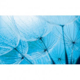 Fototapeta na stenu - FT0108 - Modrá púpava