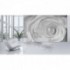 Fototapeta na stenu - FT0126 - Biela ruža