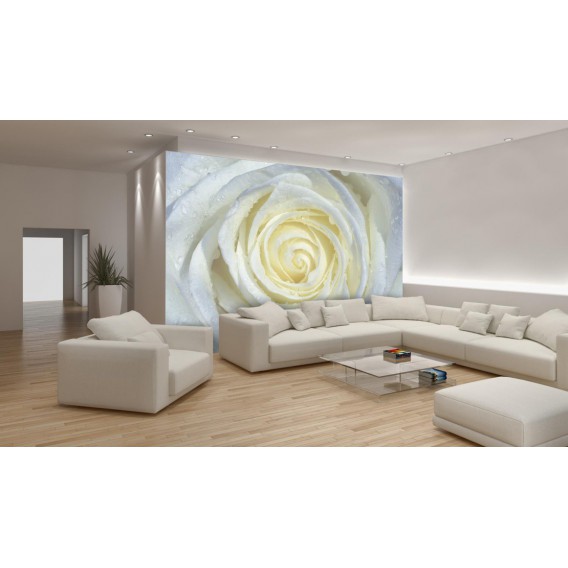 Fototapeta na stenu - FT0127 - Biela ruža
