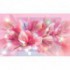 Fototapeta na stenu - FT0241 - Ružové kvety