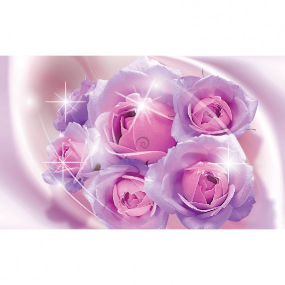 Fototapeta na stenu - FT5464 - Ružové ruže
