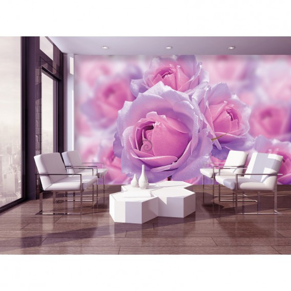 Fototapeta na stenu - FT5465 - Ružové ruže
