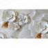 Fototapeta na stenu - FT5472 - Porcelánové kvety - zlatý lem